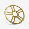 Talaria | Full-E Charged Rear Sprocket 420-58T Gold
