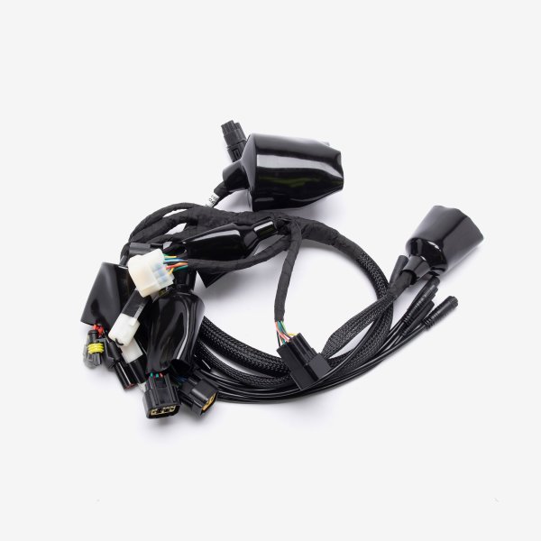 Talaria | Wiring Loom for TL4000