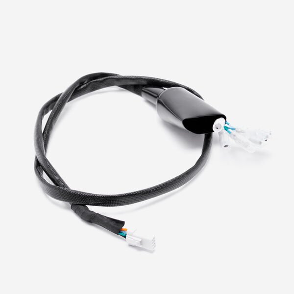 Talaria | Tail Light Loom
