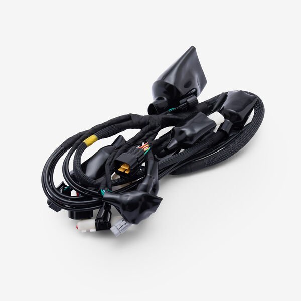 Talaria | Wiring Loom